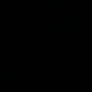 Meet your Posher, Sean